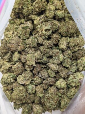Buy Cat's Piss (AAA) Online at Top Shelf BC