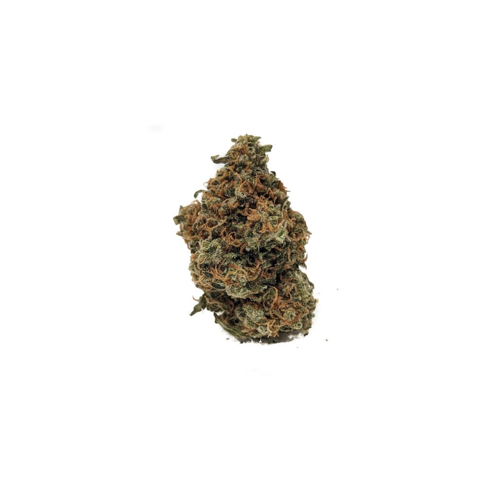 Buy Red Congo by Prohibition Farms (AAAA) Online at Top Shelf BC