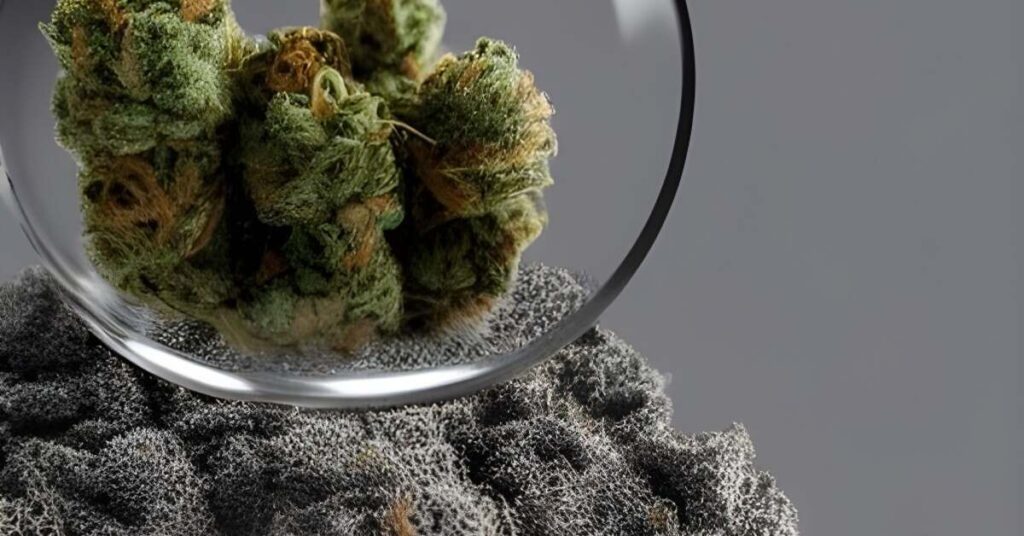 The Complete Guide to Bubble Hash
