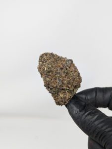Buy Gelato *smalls* Online at Top Shelf BC