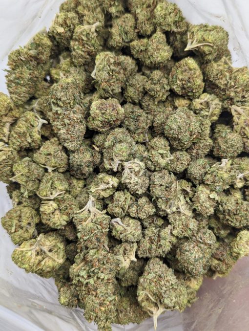 Buy Gelato *smalls* Online at Top Shelf BC