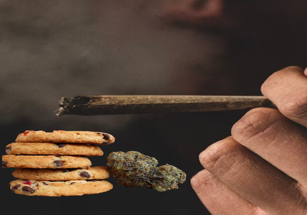 Edibles vs. Smoking: How Do They Differ and Which Is Better?