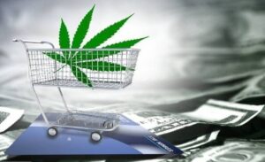 Everything You Need to Know to Buy Weed Online in Canada