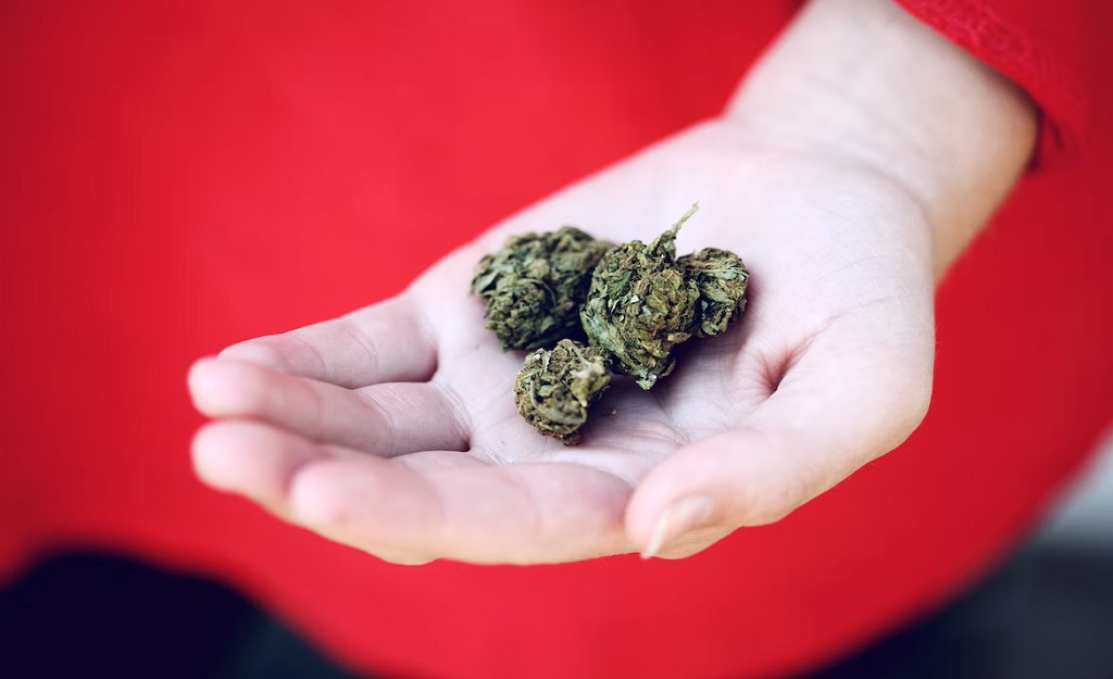 Best Weed Strains to Help Reduce Inflammation