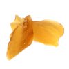 Buy Tropic Truffle Shatter (Sativa) Online at Top Shelf BC