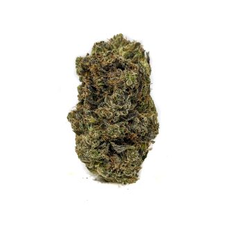 Buy El Jefe Strain Online at Top Shelf BC