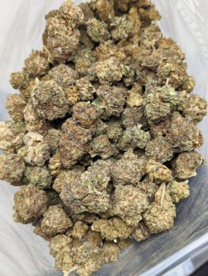 Buy Godfather OG Strain Online at Top Shelf BC