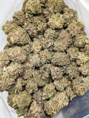 Buy jungle diamonds Online at Top Shelf BC
