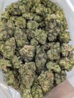 Buy master tuna strain Online at Top Shelf BC
