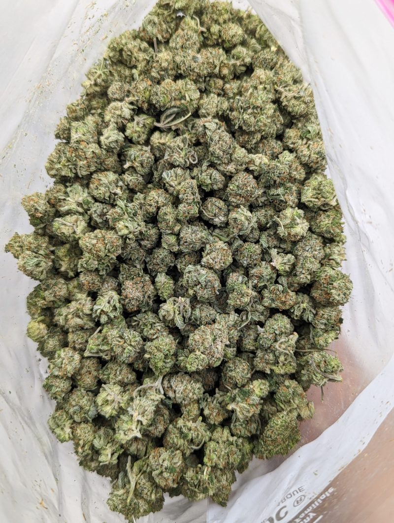 Buy rockstar gas aaaa Strain Online at Top Shelf BC