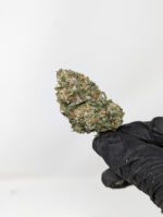 Buy Weed Online | Online Dispensary for Marijuana
