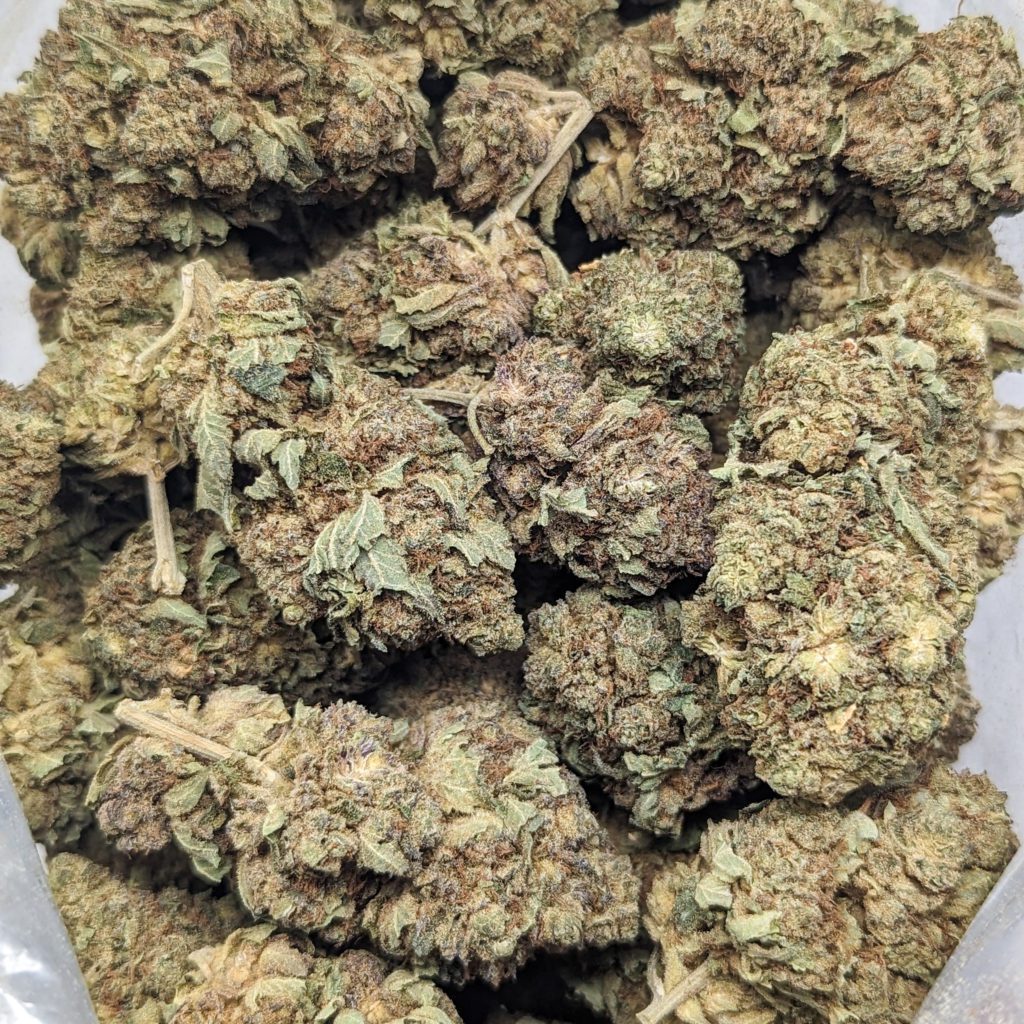 Buy BC Kush (AA+) Top Shelf BC