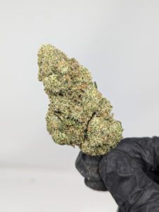 Buy Pink Goo (AAAA-) Online at Top Shelf BC