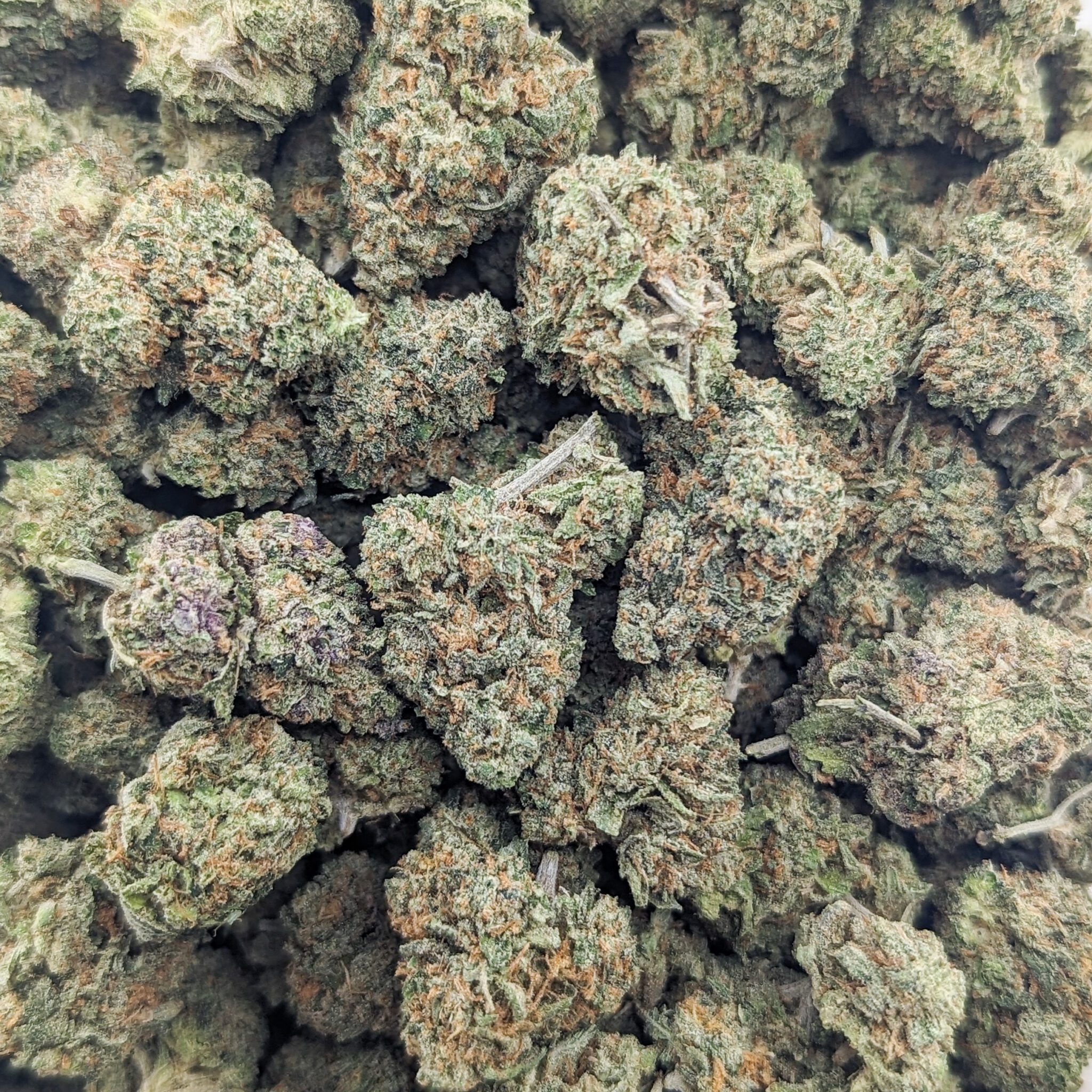 Buy Lemon Cherry Gelato *smalls/popcorn* (AAAA) Online At Top Shelf BC