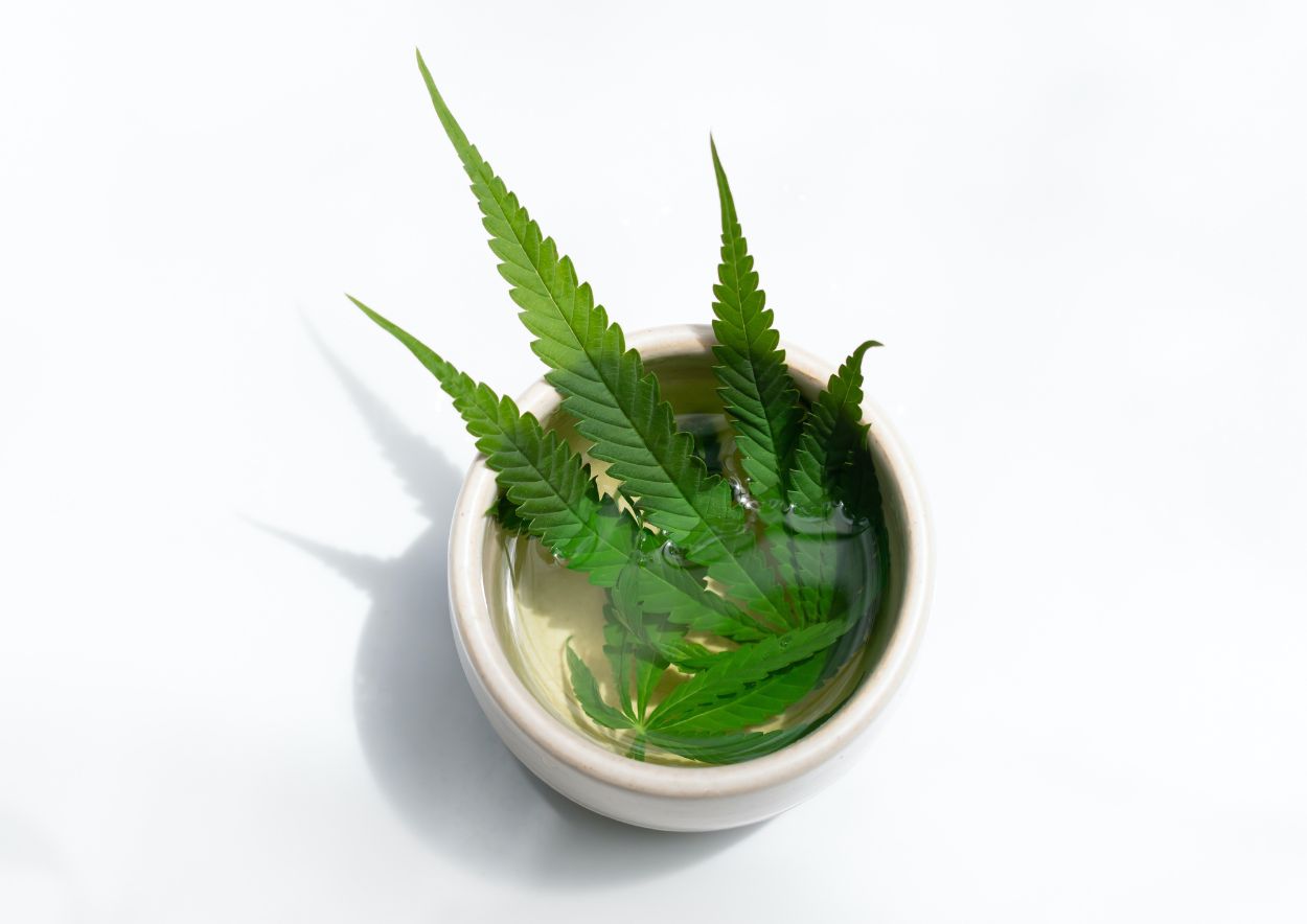 Medicinal Properties of Cannabis Tea 3