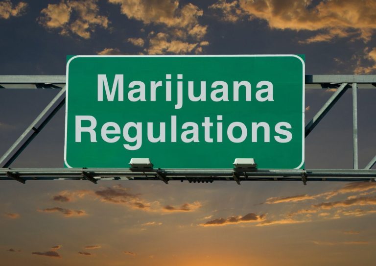 Cannabis Regulations 1