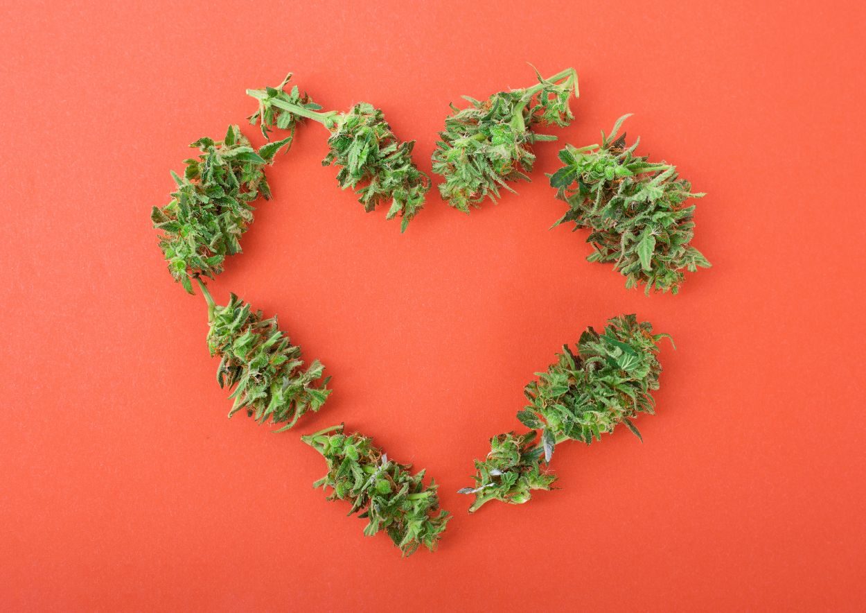 Cannabis and Heart Health 1