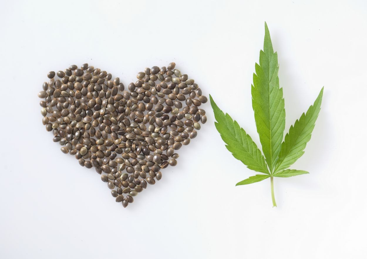 Cannabis and Heart Health 3