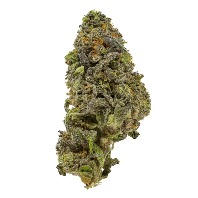 2 Oz Deal – Critical OG + Lemon Sour Diesel