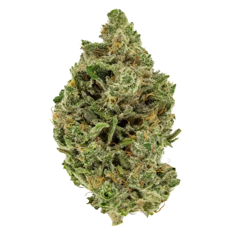 2 Oz Deal – Critical OG + Lemon Sour Diesel