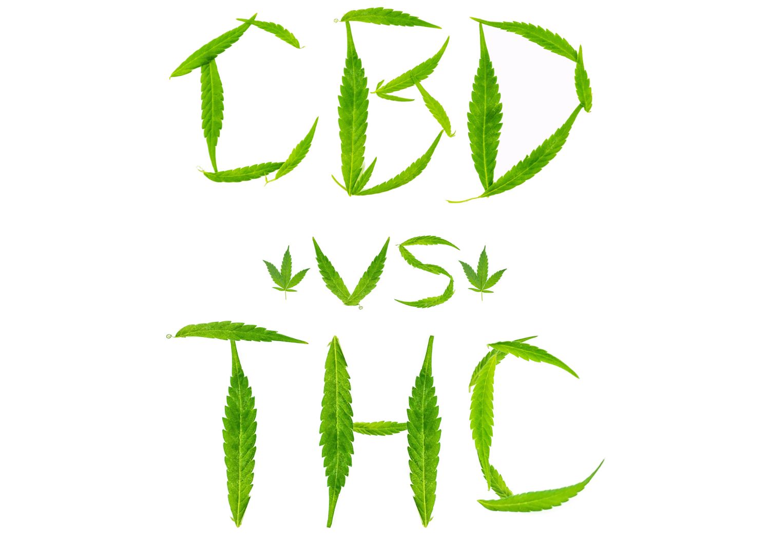 Comparing the Effects of THC and CBD on Pain Management