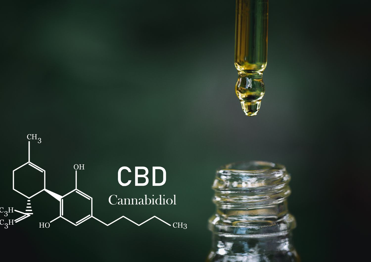 Overview of CBD: Benefits and Risks