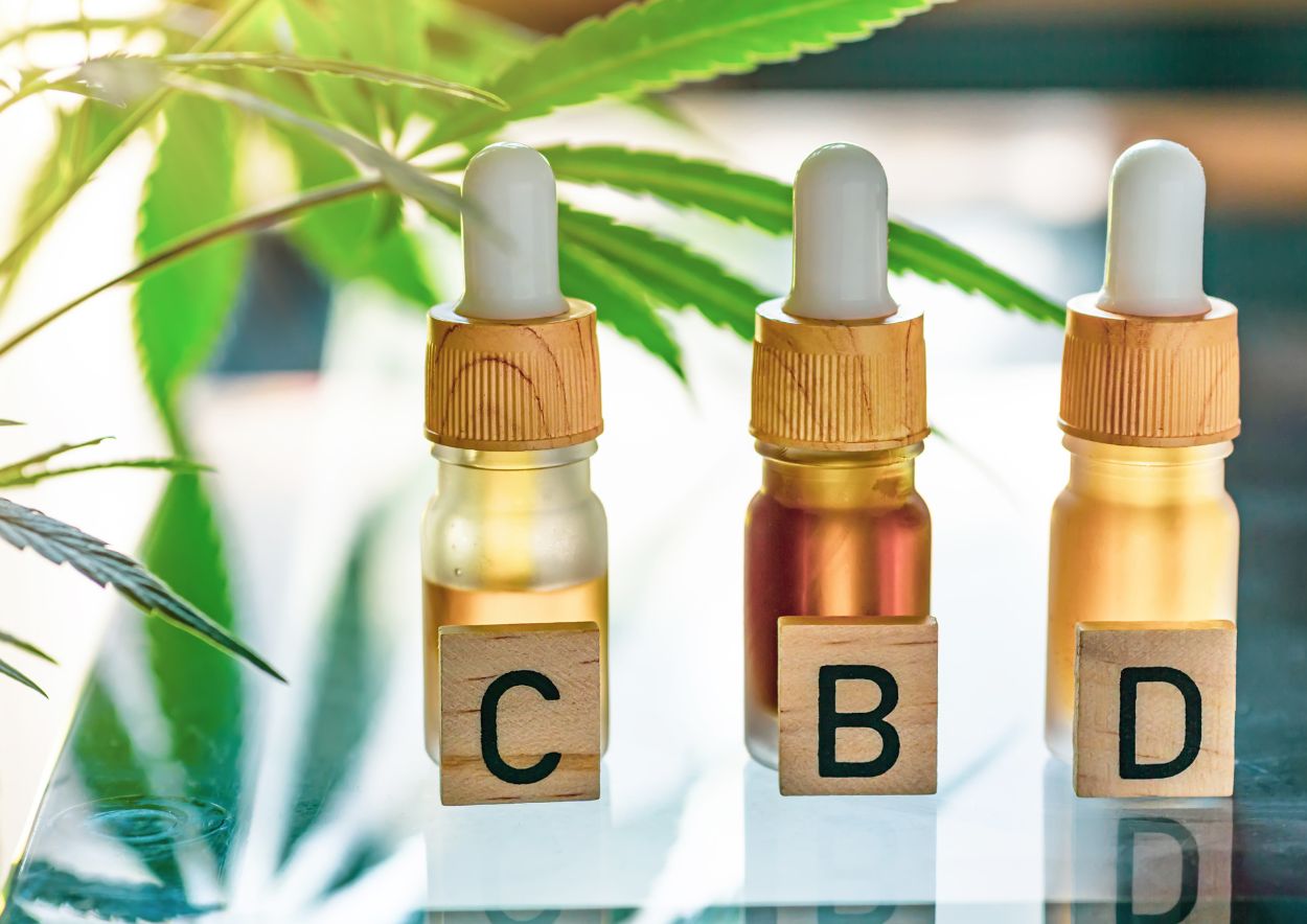 How CBD Affects Pets Differently Than Humans