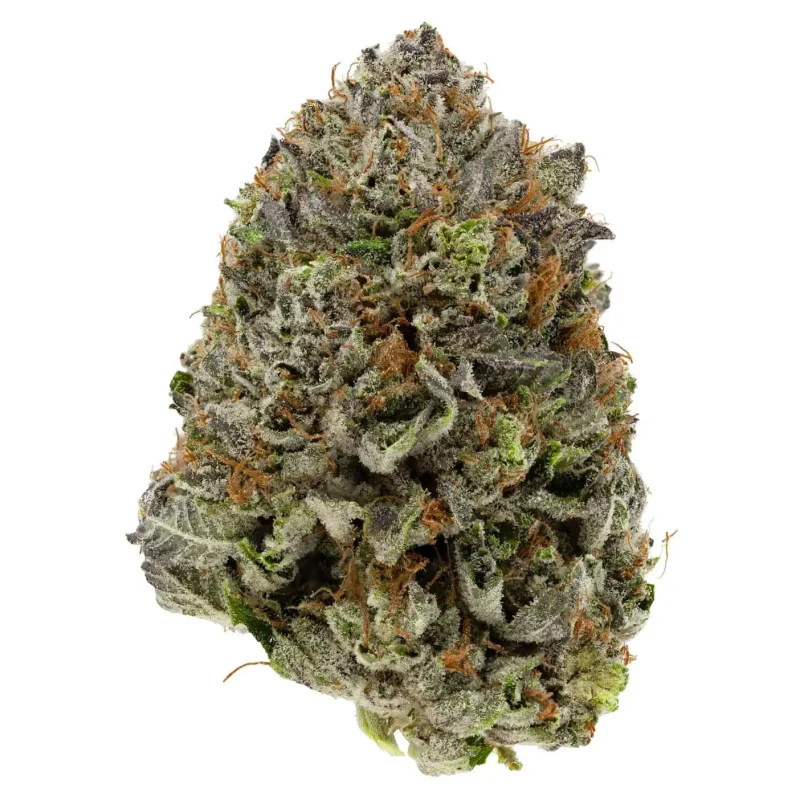 2 Oz Deal – Critical OG + Lemon Sour Diesel