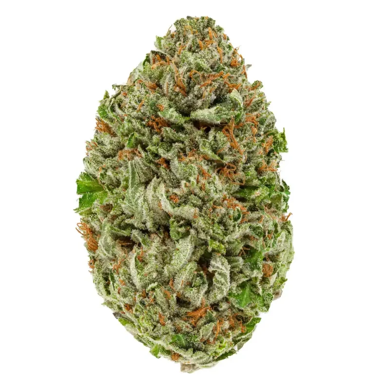 2 Oz Deal – Critical OG + Lemon Sour Diesel