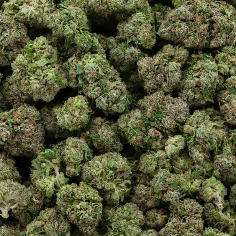 durban poison