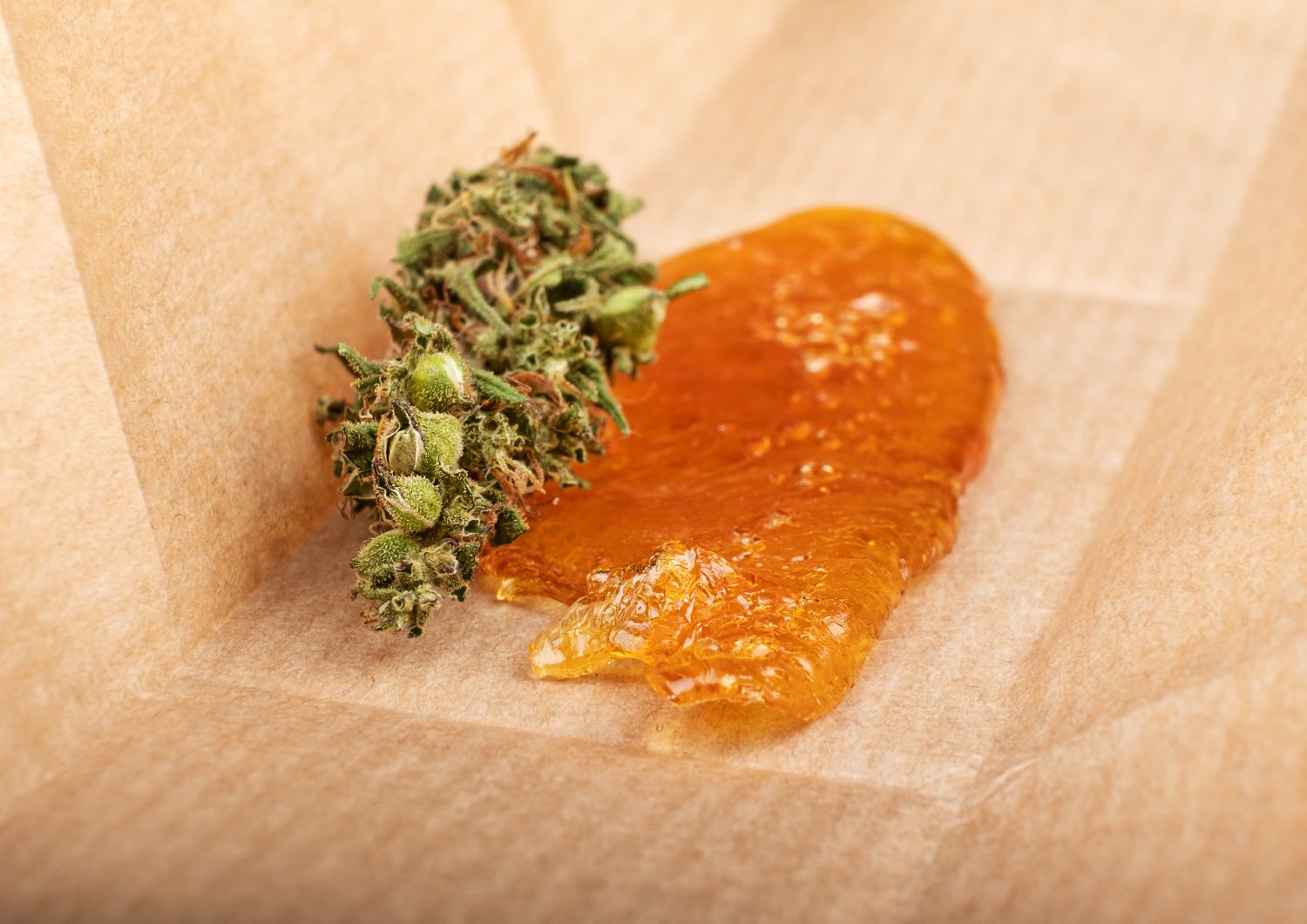 Concentrates Showdown: Shatter, Budder, and THC Diamonds