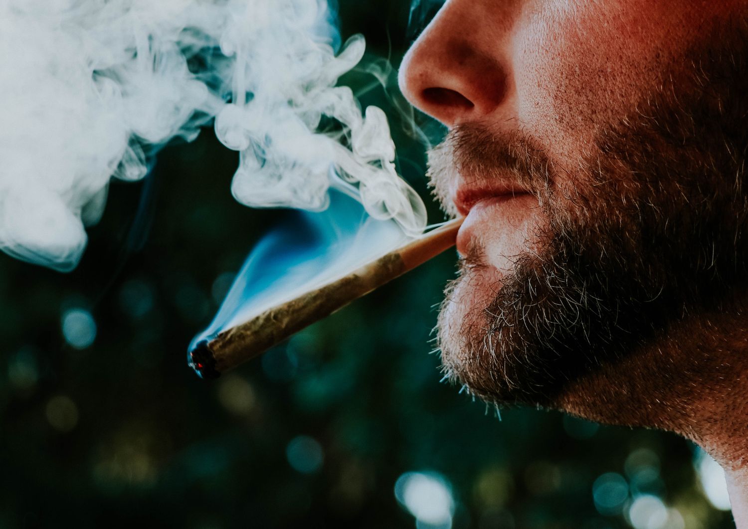 Terpene Development: Flavour You Can Feel