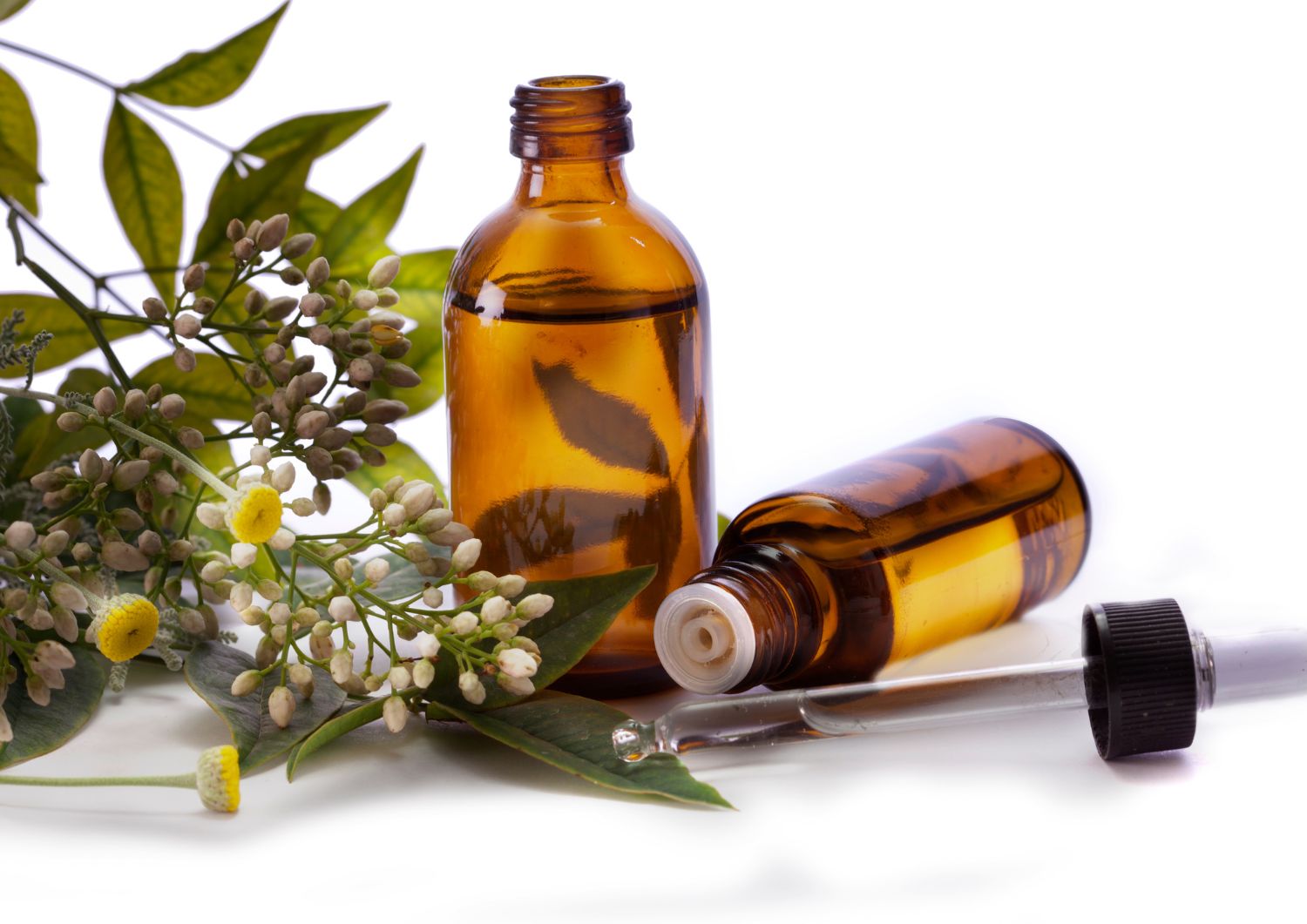Practical Tips for Integrating Terpenes and Herbal Medicines