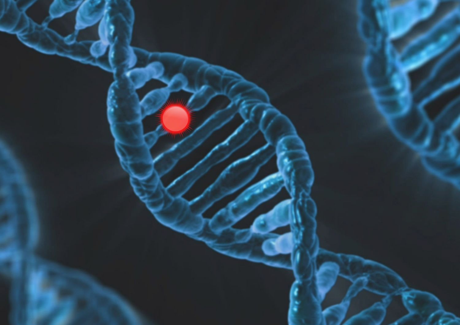 The Future of Cannabis and Epigenetic Research