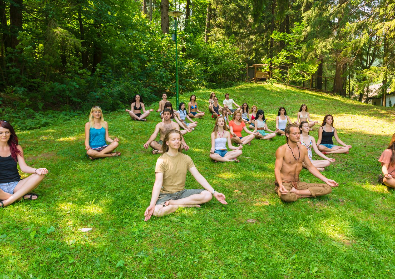 Enhancing Meditation with Cannabis and Yoga