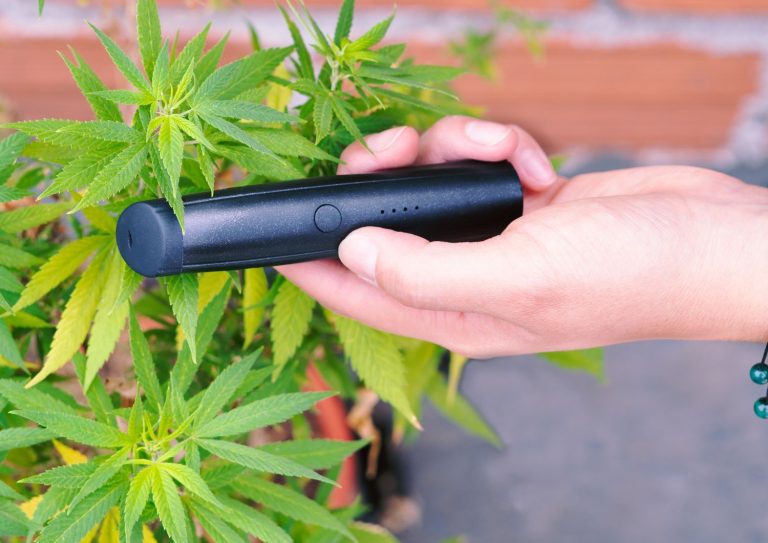How to Choose the Best Cannabis Vaporizer for Beginners