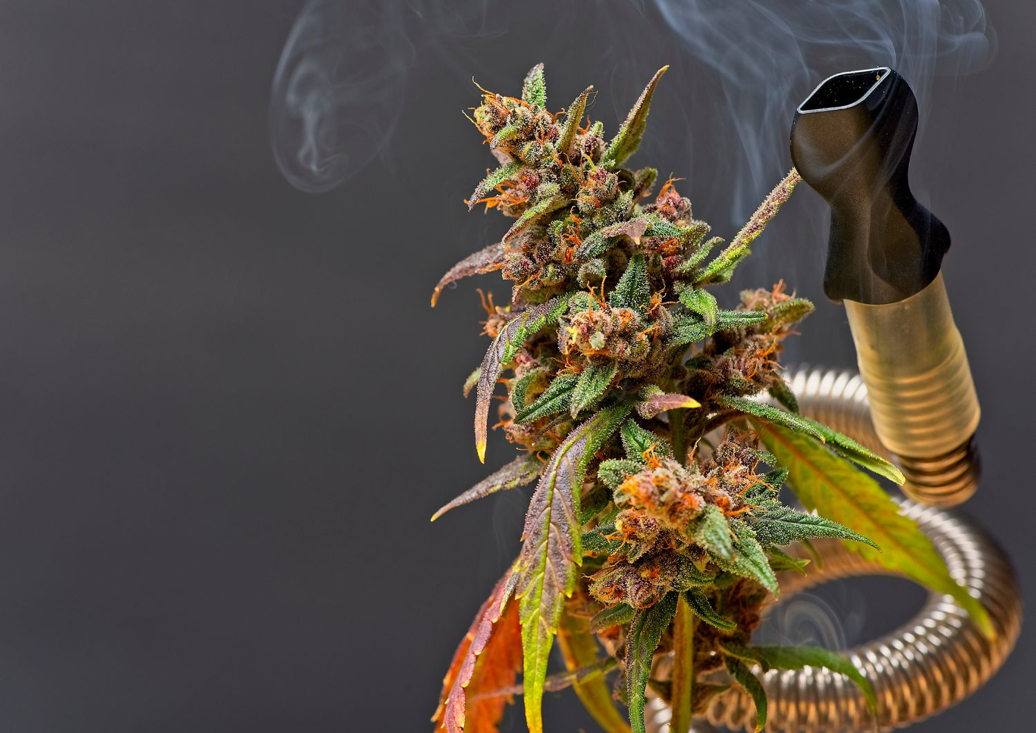 Safety Tips for Beginner Vapers