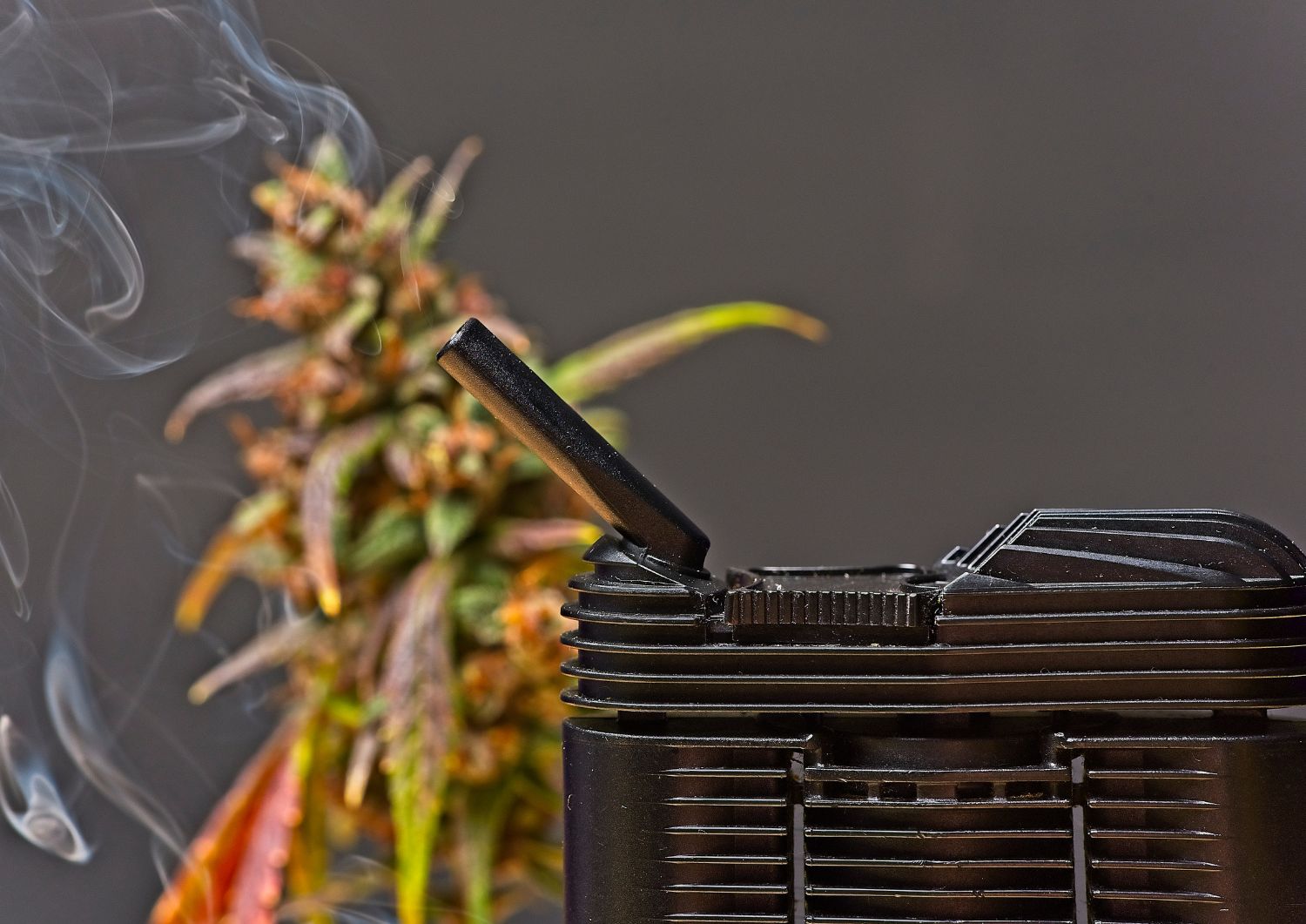 Key Features to Look for in a Beginner Vaporizer