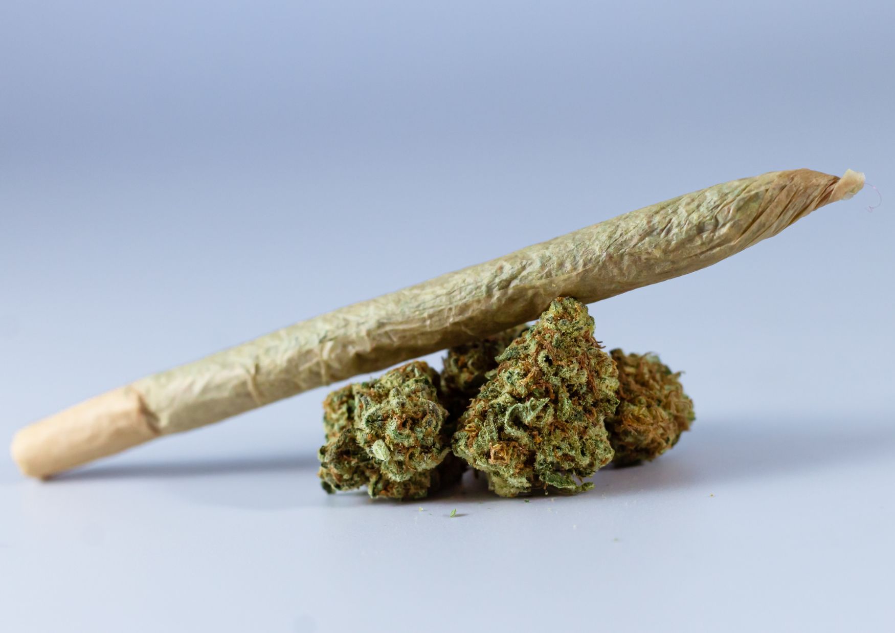 Challenges Facing BC's Cannabis Industry