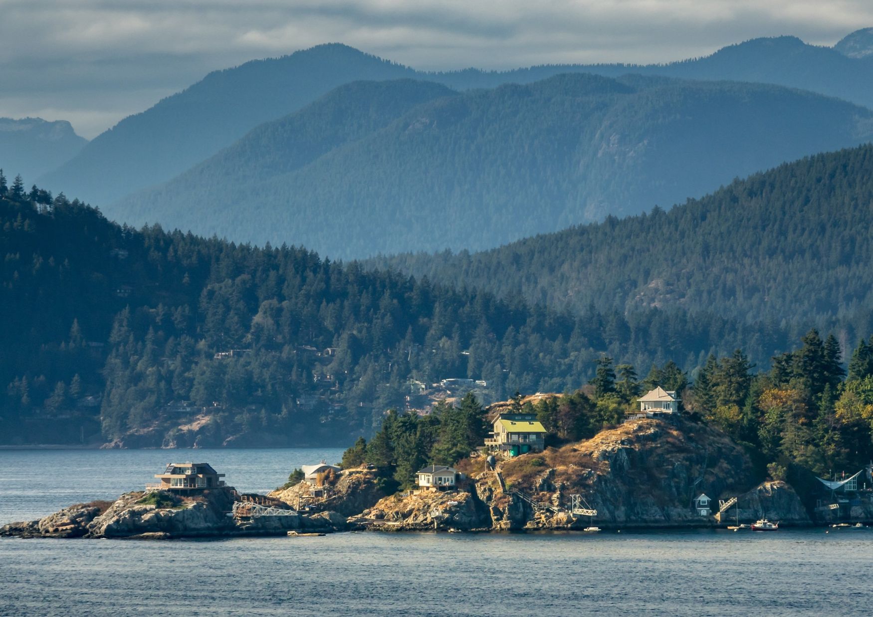 The Origins of BC Bud: A Legacy Born in the Wild