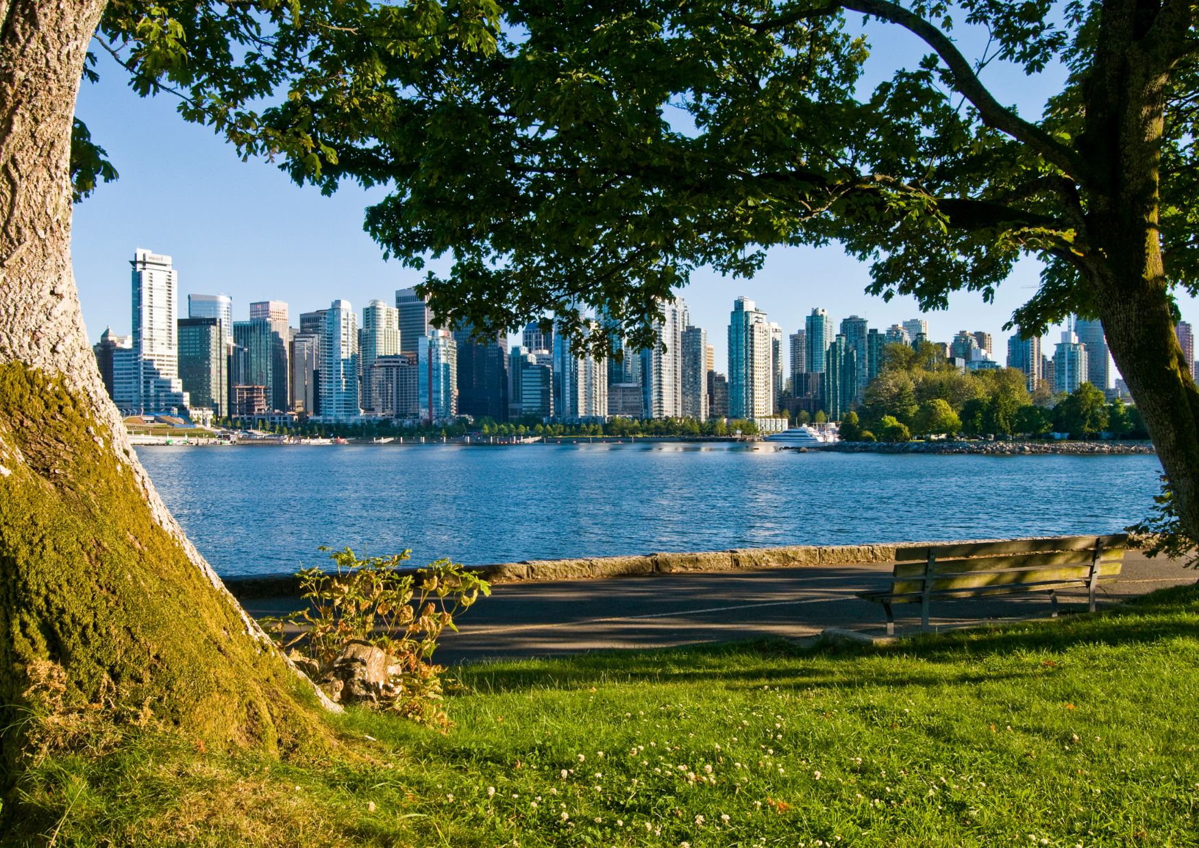 BC's Cannabis Festivals and Community Events