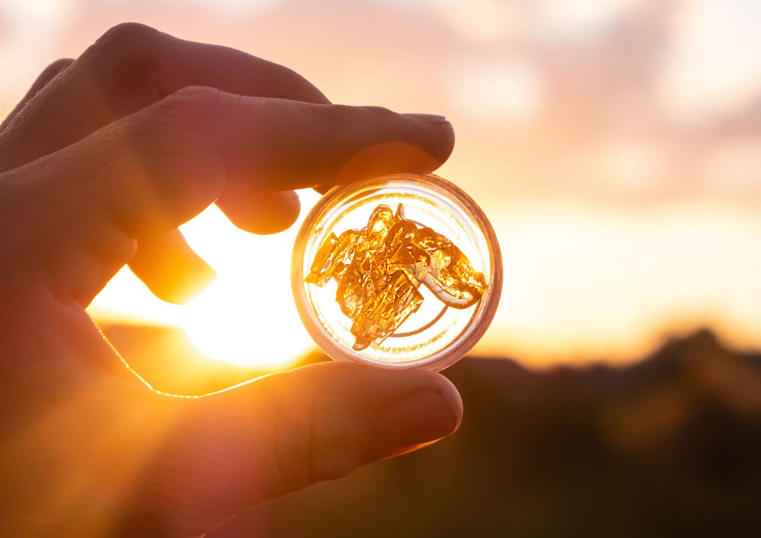 Why Top Shelf BC’s Shatter Is a Connoisseur’s Choice