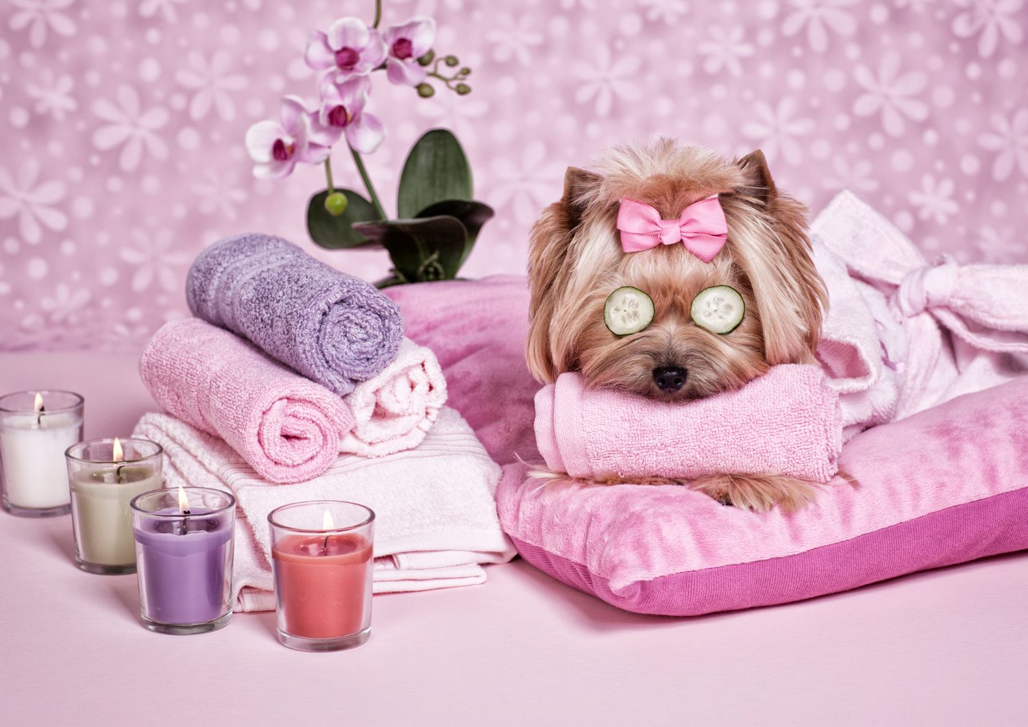 Safety Tips for a Cannabis-Infused Spa Day