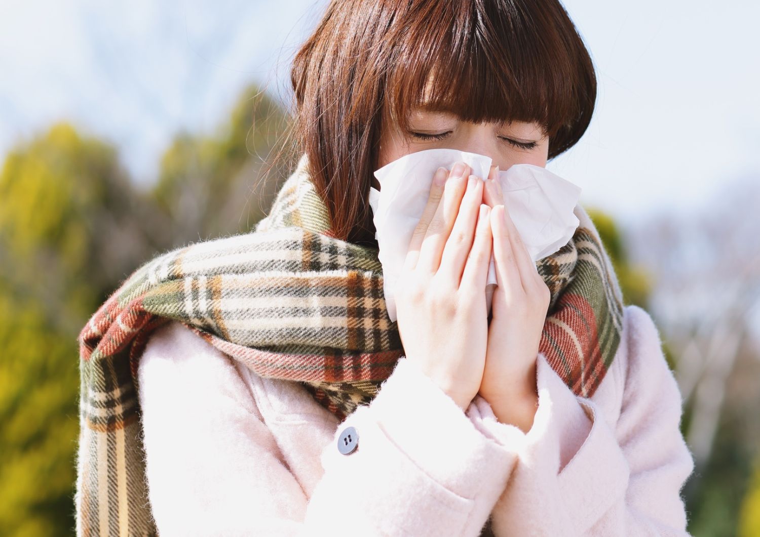 Terpenes in Cannabis and Allergy Management