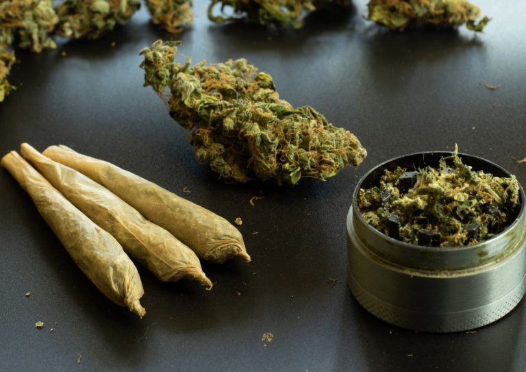 Exploring Low-THC Cannabis Options for Beginners