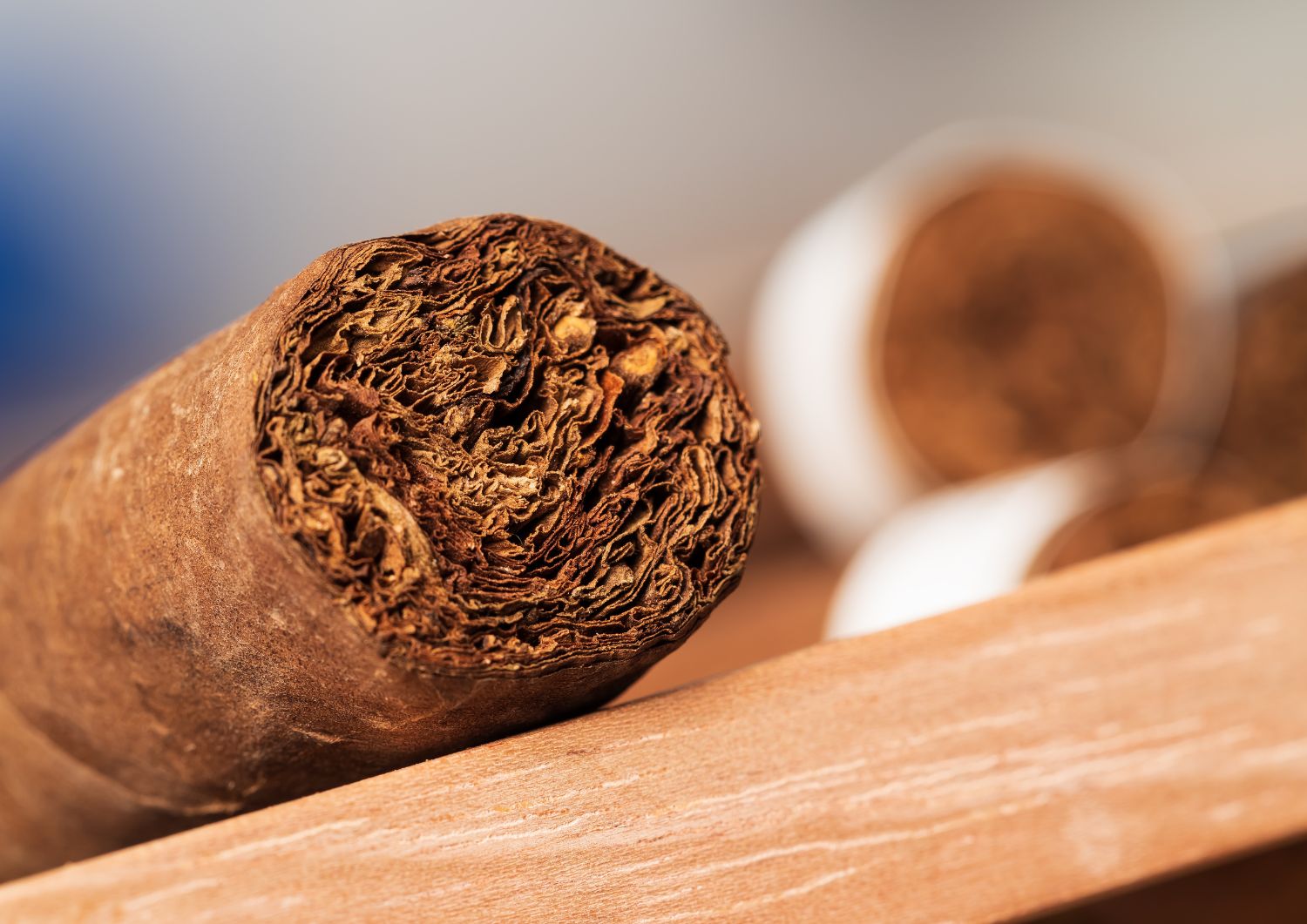 Relaxing Evenings: Pairing Cannabis with Premium Cigars