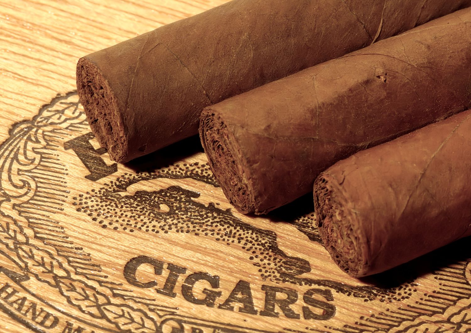 Why Pairing Cannabis with Premium Cigars Elevates Your Experience