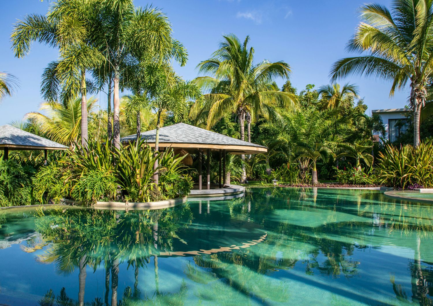 Sustainable Luxury: Eco-Friendly Cannabis Cultivation