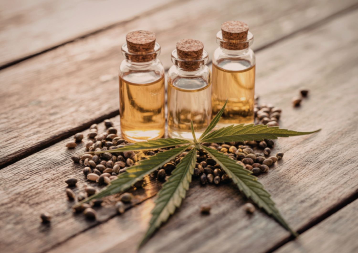 The Canadian Roots and Rise of Pink Kush