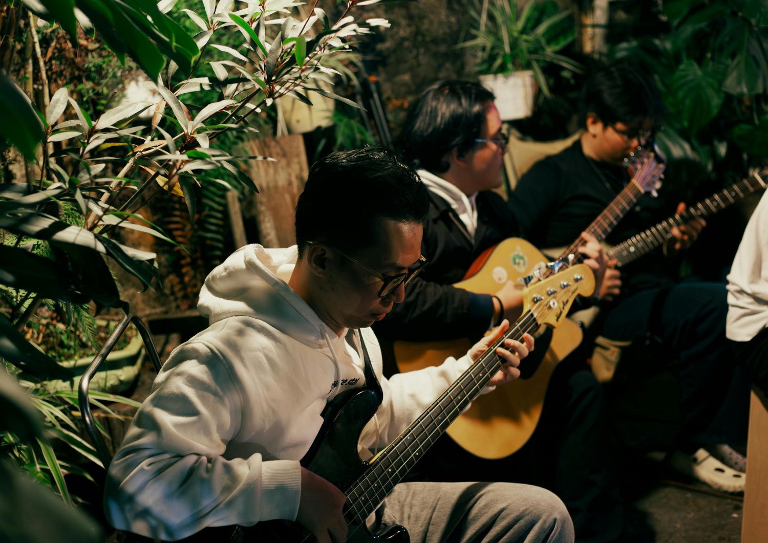 Musicians' Harmony with Amnesia Haze: Tuning into Creativity